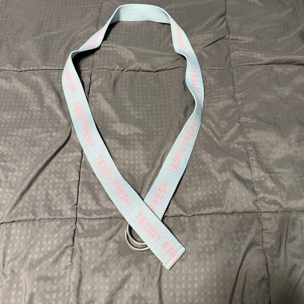 Teddy Fresh blue With Pink Belt Limited Edition